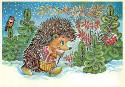 Look at the hedgehog!
